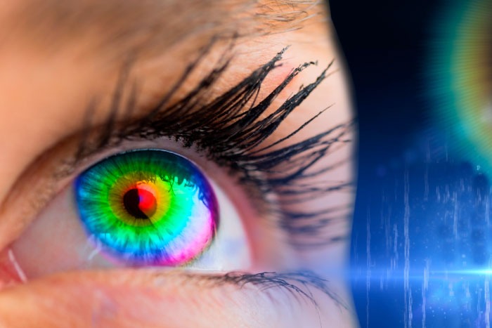 DALTONISMO: QUÉ ES, CÓMO SE MANIFIESTA Y QUÉ TAN COMÚN ES REALMENTE