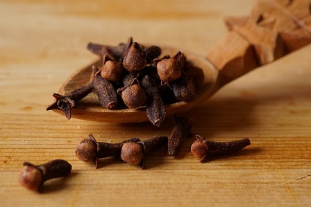 ¿MASTICAR CLAVO DE OLOR ALIVIA EL DOLOR DE MUELAS? MITO Y REALIDAD SEGÚN LA CIENCIA