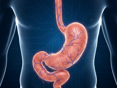 LA AUTOFAGIA: QUÉ ES, POR QUÉ ES IMPORTANTE Y EL PREMIO NOBEL OTORGADO POR SU INVESTIGACIÓN