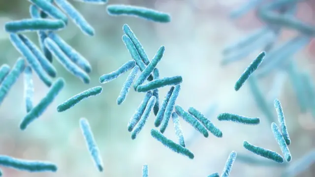 TUBERCULOSIS: QUÉ ES, SÍNTOMAS, TRATAMIENTO Y POR QUÉ SE CONMEMORA EL DÍA MUNDIAL