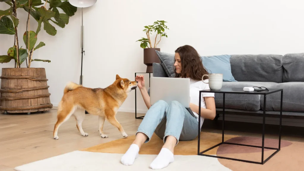 CONSEJOS PARA EL CUIDADO Y BIENESTAR DE TU MASCOTA