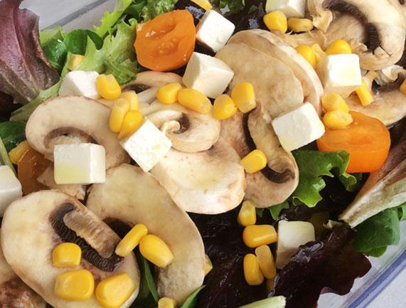 HONGOS COMESTIBLES: CUÁLES SON LOS MÁS SALUDABLES Y POR QUÉ SU CONSUMO BENEFICIA AL ORGANISMO