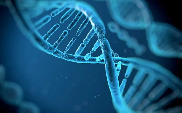 ¿POR QUÉ EN LAS PRUEBAS DE ADN NUNCA APARECE UN 100% DE COMPATIBILIDAD?