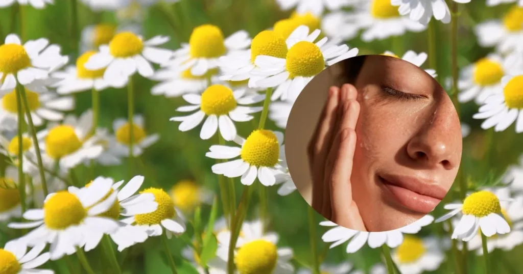 MASCARILLA PARA EL ROSTRO CANSADO Y SUS EFECTOS