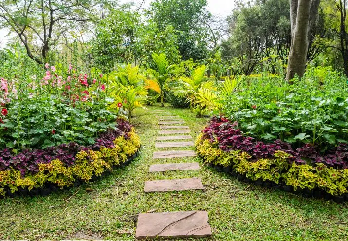 COMO CUIDAR UN JARDÍN LLENO DE PLANTAS