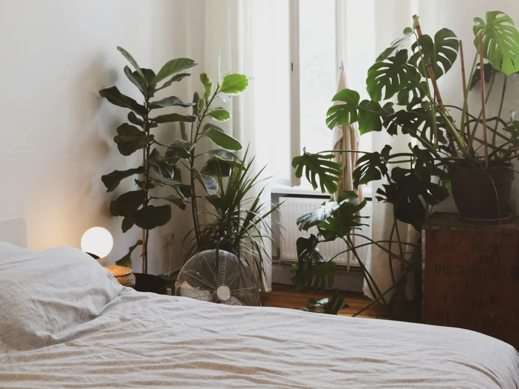 ¿ES BUENO TENER PLANTAS EN LA HABITACIÓN? ESTO DICE LA CIENCIA SOBRE DORMIR CON PLANTAS